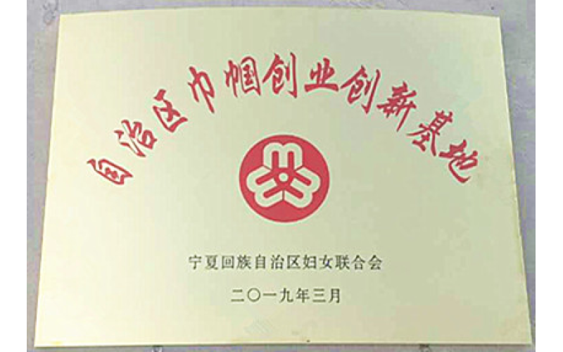 自治區(qū)巾幗創(chuàng)業(yè)創(chuàng)新基地